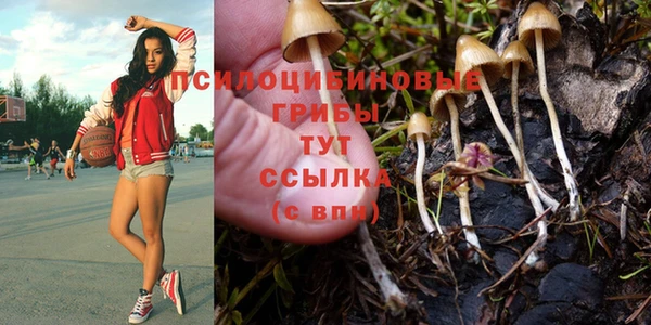 мет Кулебаки