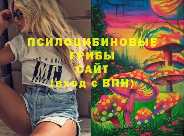 гидропоника Кукмор
