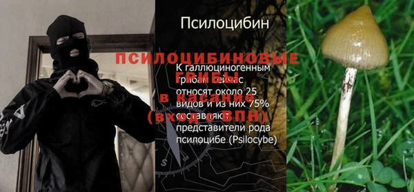 ПСИЛОЦИБИНОВЫЕ ГРИБЫ Краснотурьинск