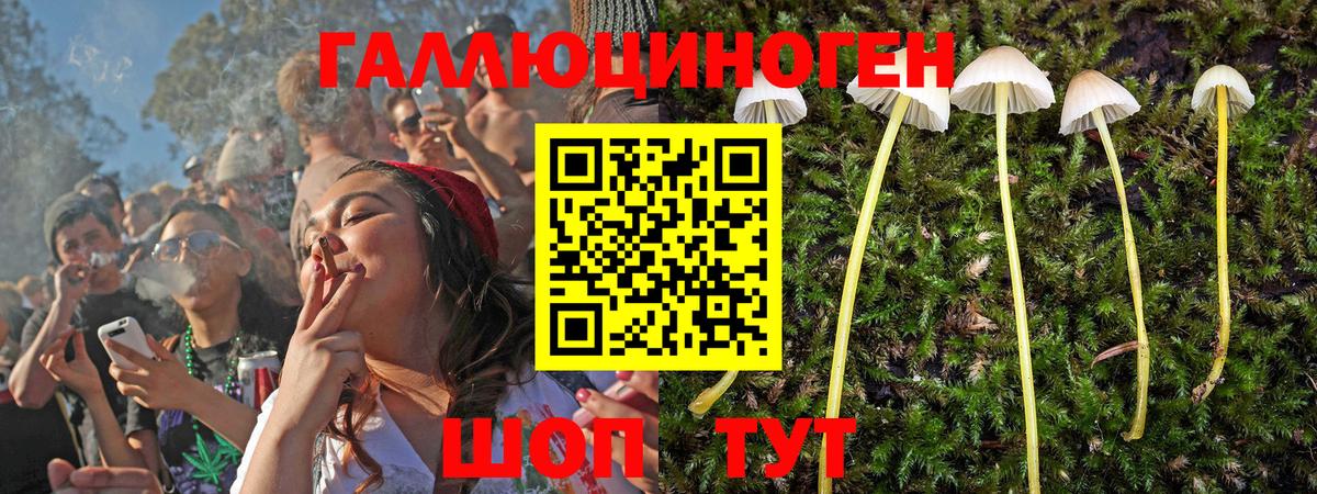 Екатеринбург  Галлюциногенные грибы GOLDEN TEACHER  Вход с VPN 