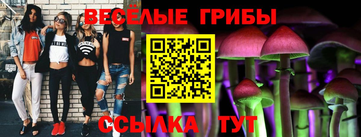 Галлюциногенные грибы прущие грибы Екатеринбург