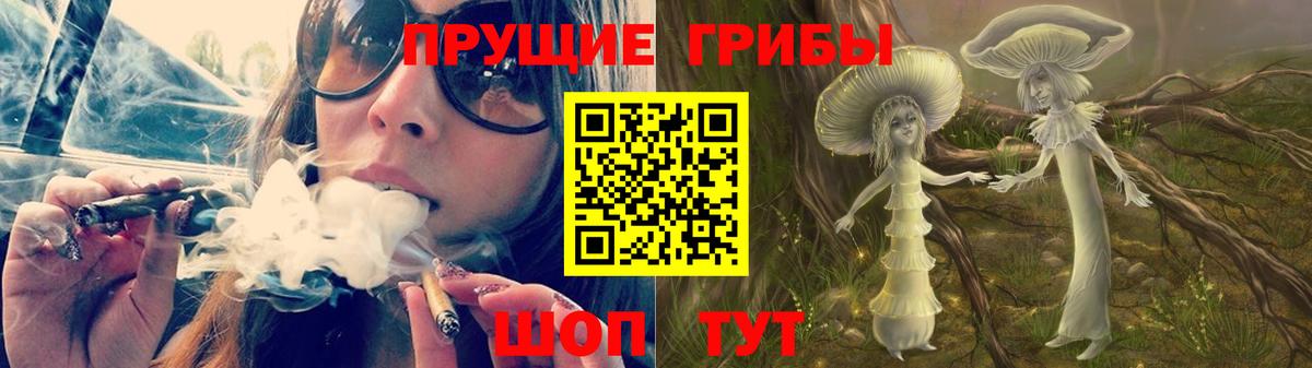 Галлюциногенные грибы мицелий  Галлюциногенные грибы GOLDEN TEACHER  где найти наркотики  Екатеринбург 